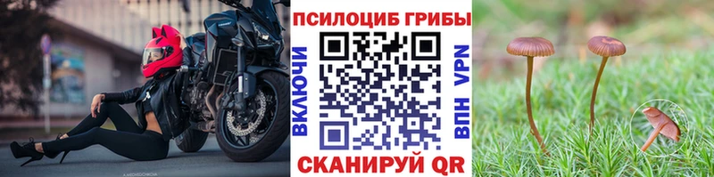 Галлюциногенные грибы Psilocybine cubensis дарнет шоп Нижний Тагил