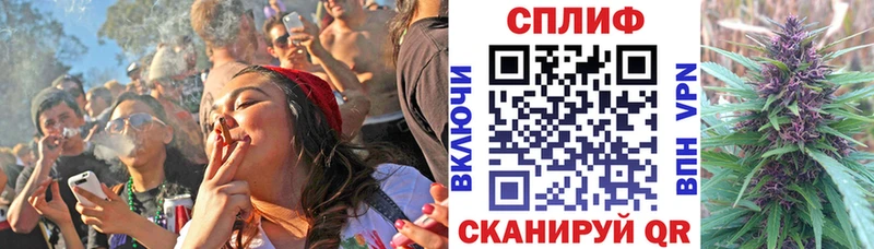 купить наркотики сайты  Нижний Тагил  Бошки Шишки гибрид 